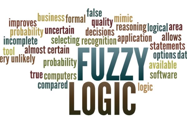 Fuzzy Logic in Data Mining